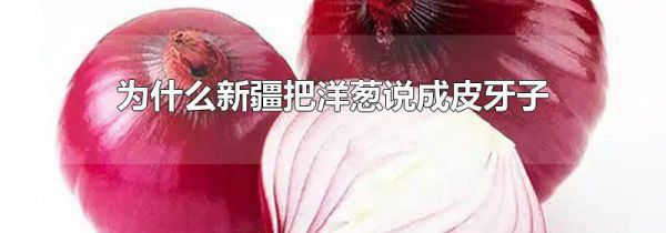 为什么新疆把洋葱说成皮牙子