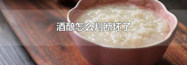 酒酿怎么判断坏了