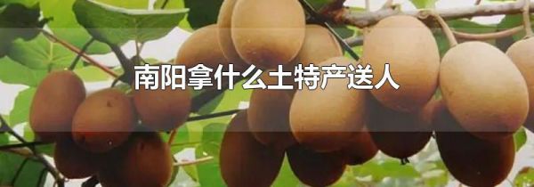 南阳拿什么土特产送人