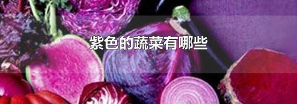 紫色的蔬菜有哪些