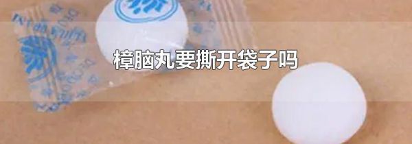 樟脑丸要撕开袋子吗