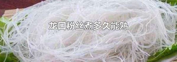 龙口粉丝煮多久能熟