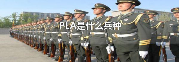 PLA是什么兵种