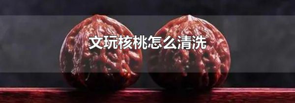 文玩核桃怎么清洗