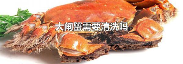 大闸蟹需要清洗吗