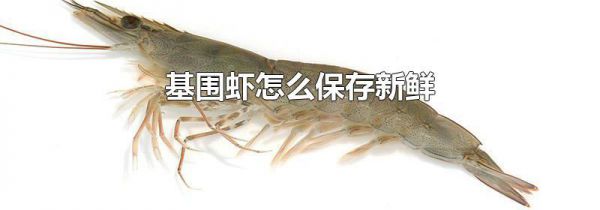 基围虾怎么保存新鲜