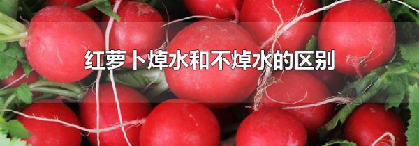 红萝卜焯水和不焯水的区别
