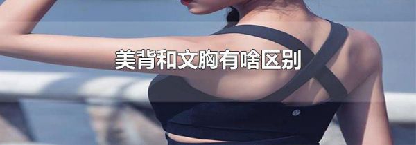 美背和文胸有啥区别