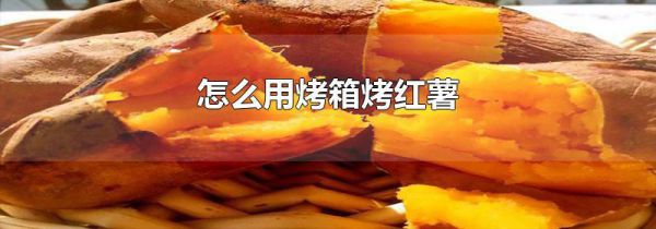 怎么用烤箱烤红薯