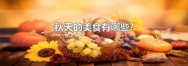 秋天的美食有哪些?
