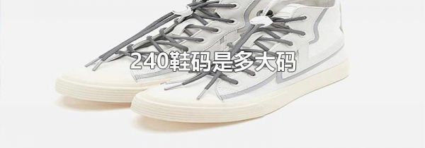 240鞋码是多大码
