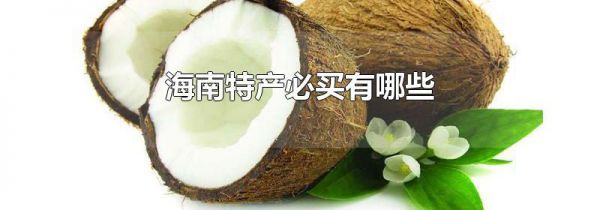 海南特产必买有哪些