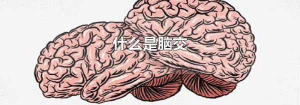 什么是脑交