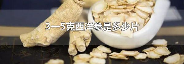 3一5克西洋参是多少片