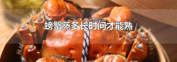 螃蟹蒸多长时间才能熟