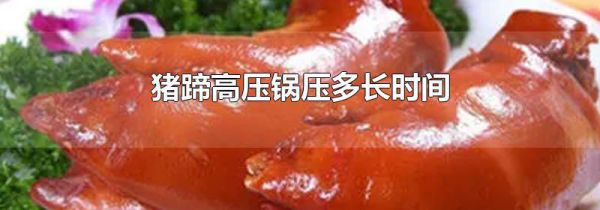 猪蹄高压锅压多长时间