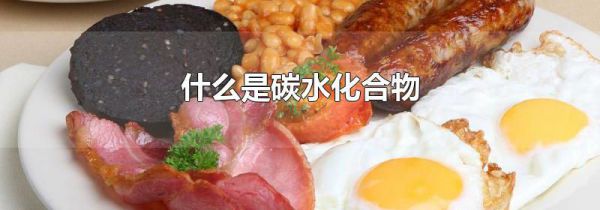 什么是碳水化合物