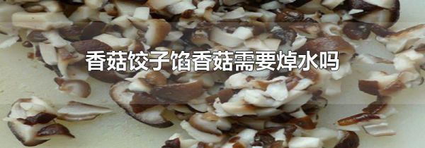 香菇饺子馅香菇需要焯水吗