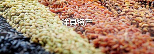 洋县特产