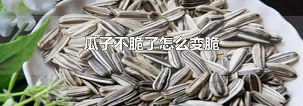 瓜子不脆了怎么变脆