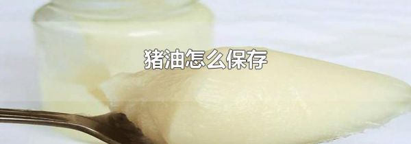 猪油怎么保存