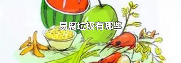 易腐垃圾有哪些