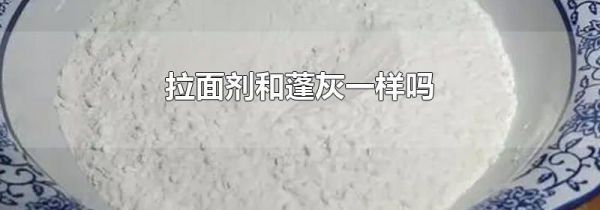 拉面剂和蓬灰一样吗