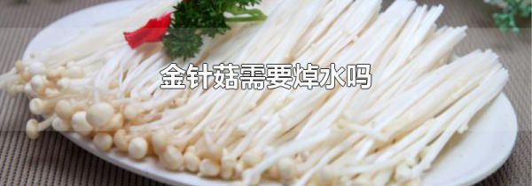 金针菇需要焯水吗