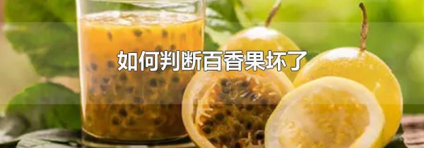 如何判断百香果坏了