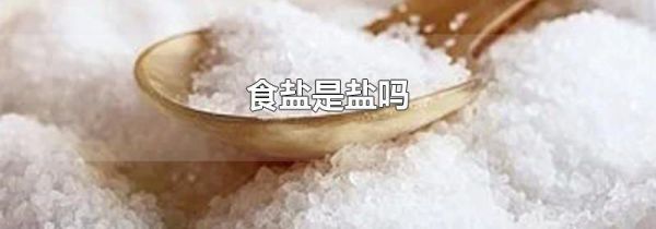 食盐是盐吗