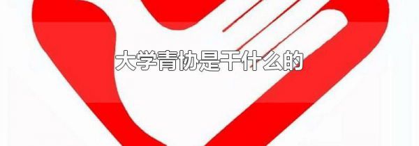 大学青协是干什么的