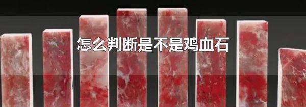 怎么判断是不是鸡血石