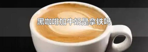 黑咖啡加牛奶是拿铁吗