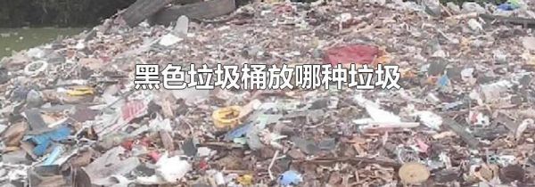 黑色垃圾桶放哪种垃圾