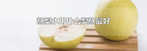 熬梨水用什么梨熬最好
