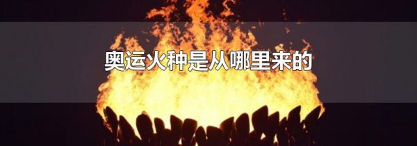奥运火种是从哪里来的