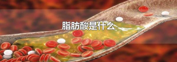 脂肪酸是什么