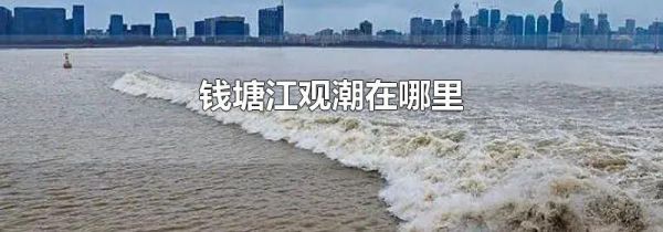 钱塘江观潮在哪里