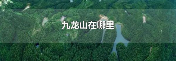 九龙山在哪里