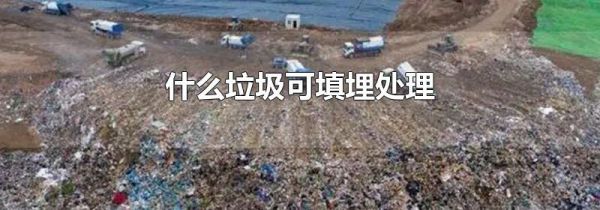 什么垃圾可填埋处理