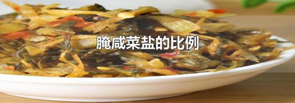 腌咸菜盐的比例