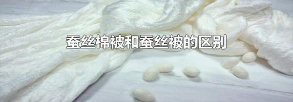 蚕丝棉被和蚕丝被的区别