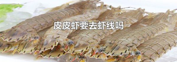 皮皮虾要去虾线吗