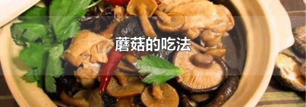 蘑菇的吃法