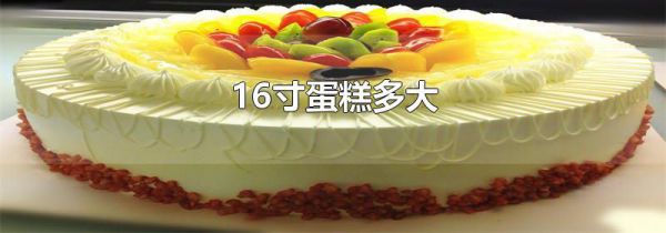 16寸蛋糕多大