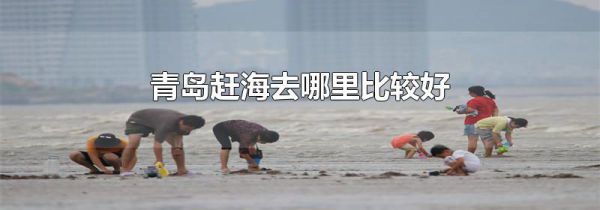 青岛赶海去哪里比较好