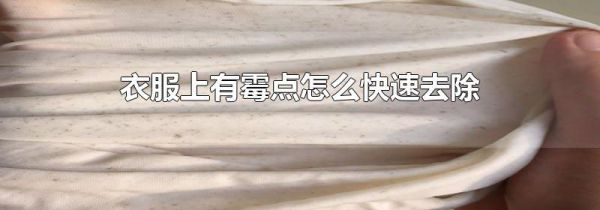 衣服上有霉点怎么快速去除