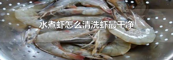 水煮虾怎么清洗虾最干净