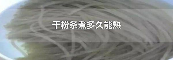 干粉条煮多久能熟