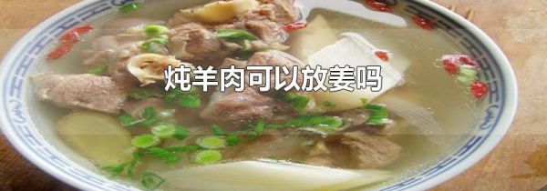 炖羊肉可以放姜吗